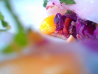 Cours Miss Lunch : êtes-vous du matin ou du soir ?